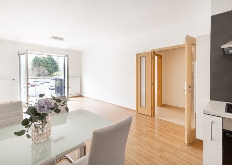 2+kk u Brněnské přehrady, projekt PANORAMA